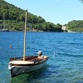 Berner Altstadt erleben